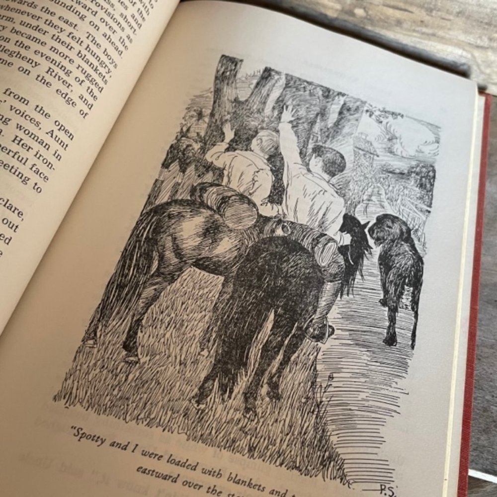 RARE Antique Vintage 1934 Horse Book White-Saddle Collectors Hard Copy - Picture 3 of 12